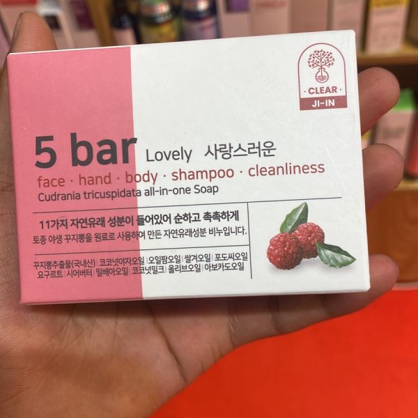 Jinan Farm 5 Bar Lovely All In One Soap - 90g