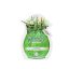 Holika-Holika-Tea-Tree-Juicy-Sheet-Mask-20ml.jpg