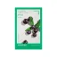 Innisfree-My-real-squeeze-mask-Acai-Berry-22ml.webp